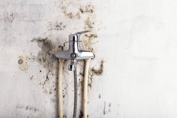 Best Mold Remediation for Schools in Mooreland, OK