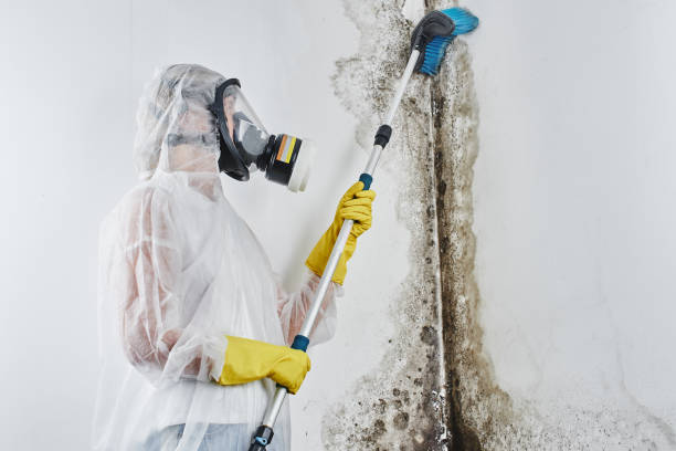 Best Bathroom Mold Remediation in Mooreland, OK