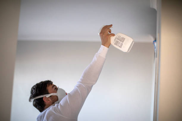 Best Insurance-Related Mold Remediation in Mooreland, OK