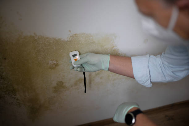 Best Bathroom Mold Remediation in Mooreland, OK