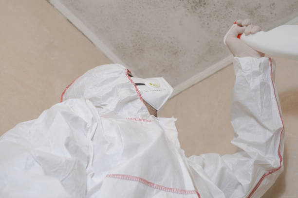 Best Post-Flood Mold Remediation in Mooreland, OK