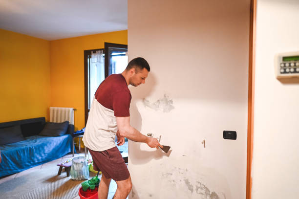 Best Mold Remediation for Specific Building Types in Mooreland, OK