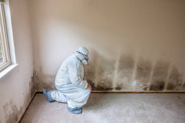 Best Mold Testing and Inspection Services in Mooreland, OK