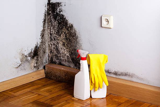Best Post-Remediation Services in Mooreland, OK